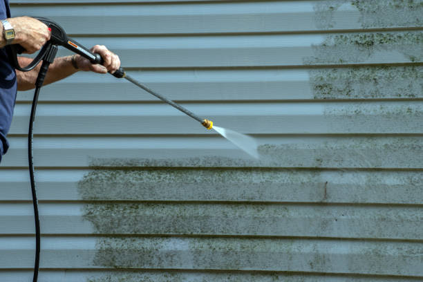 Best Sidewalk and Walkway Pressure Cleaning in Aquebogue, NY